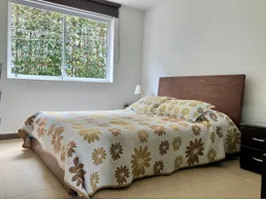 Palmas Studio 4 - Image 5