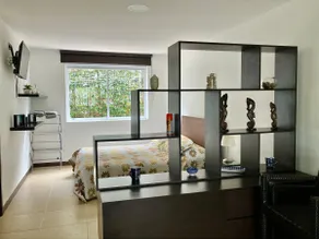Palmas Studio 4 - Image 4