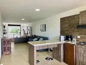 Palmas Studio 4 - Image 2