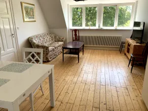 Lilla Skolhuset i Ingelsträde - Image 3
