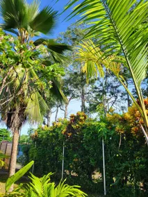 Villa Milagro - Image 3