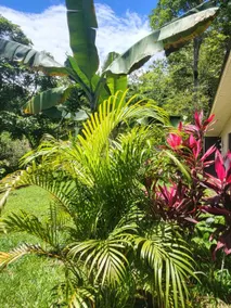 Villa Milagro - Image 4