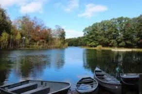 Lakes of the North Cabin - Resort, Lakes & Trails! - Image 3