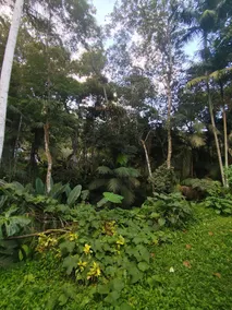 Grandma's House in Nature - Image 4