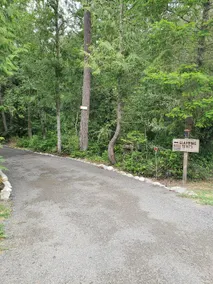 Madrona Cabin - Image 3