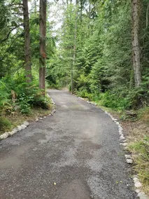 Madrona Cabin - Image 2