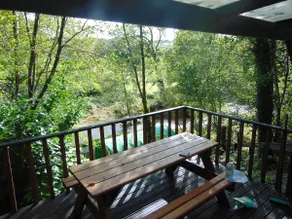 Romany Wagon & Cwtch Cabin with your own private 1 acre - Image 3