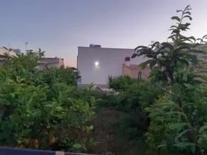 Anna's Garden - Image 4