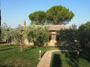 Olive Trees and Paths Apartment - Image 2