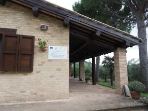 Olive Trees and Paths Apartment - Image 5