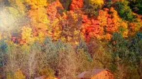 Trout Lodge w/ Hot Tub and Trout Stream - Image 2