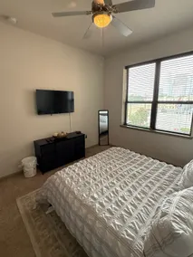 Luxury Houston Apartment - Image 4