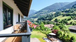 App. Steinbock Feld am See, Bad-Kleinkirchheim - Image 2