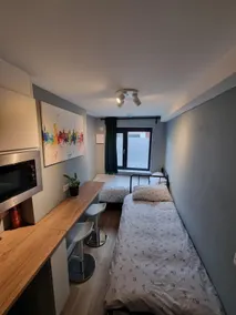 ThornCastle 2 - Tiny Twin Studio - Image 3