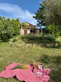 The little house in the banditelle - Image 2