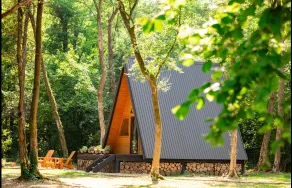 Forest Houses Odra - Image 4