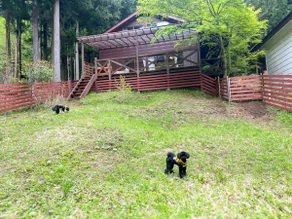 With a dock ramp / BBQ / Babbling brook / Doggy cottage - Image 4