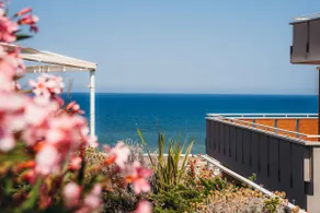 Green Suite Apartment - Oceanfront Penthouse - Image 3