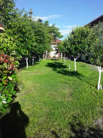 Tamuna's Avlabari Home (with big garden) - Image 2