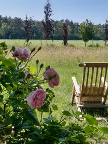 Holiday home ”Alte Schäferei” - Image 3