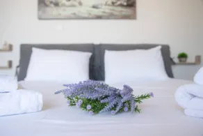 Aphrodite Luxury Suite 4 - Image 4
