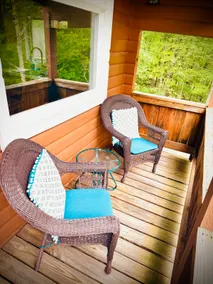 ”Cabin in the Sky” in the Catskills - Image 5