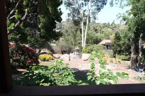 The Peace Patch Casita – Beautiful, Cozy & Serene - Image 5
