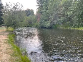 Starlight Riverfront Lodge - Image 4