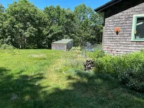 Hummingbird - Image 4