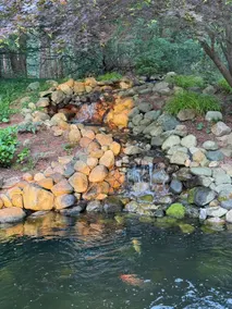 Secluded escape minutes from Lake Michigan! - Image 5