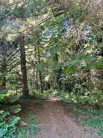 5 Private Acres Entire Home Apple Trees & Trails - Image 3