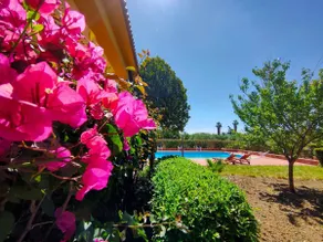 Villa of the Olive Trees - Image 3