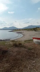 Almira Mare 1 - Image 5