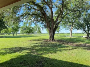 Spacious Country Escape in Alvin - Image 4