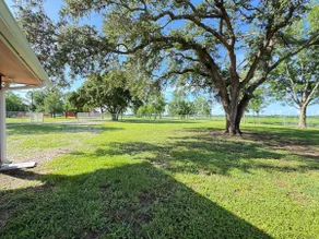 Spacious Country Escape in Alvin - Image 5