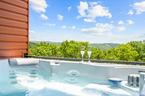Ozarks Retreat/Private Pool/Hot Tub/TRidge/Branson - Image 4