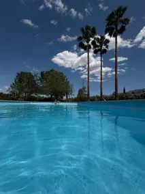 Private house with swimming pool Finca Picaflor - Image 5