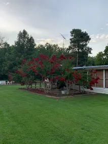 Indlogering på det bedste på Reelfoot Lake ved Bayou Bungalow - Image 3