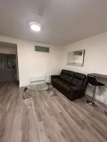 Entire Apartment in Ardagh - Image 4