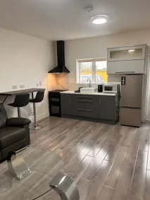 Entire Apartment in Ardagh - Image 3