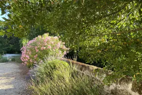Les Agnelles, 6 p., at the beautiful \"Domaine de Vincenti » - Image 5