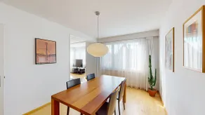 Executive 2BR apt near lake and city center - Dufour 4 - Image 2