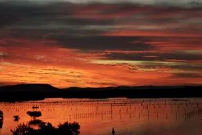 CHILL-OUT LAKESIDE - Wallis Lake Forster - Image 4