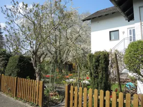 Friendly, comfortable apartment by the cherry tree - Image 2