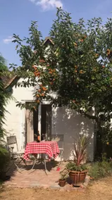 Cosy Garden Studio Eckington - Image 2