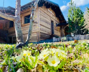 Chalet with hottub, in front of Mont Blanc... - Image 5