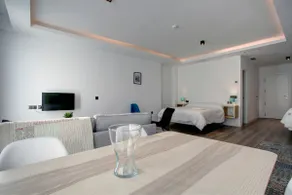Fantastic spacious apartment. - Image 3