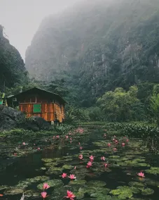 Honeymoon Room - Image 2
