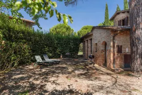 Colombina, in the middle of olive groves just 5 km from Siena - Image 4