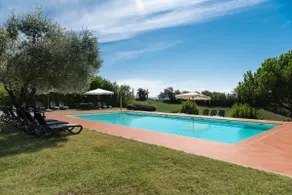 Colombina, in the middle of olive groves just 5 km from Siena - Image 2